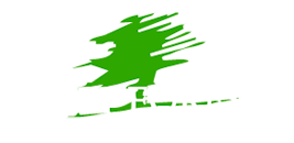 Deep-Forest Aberturas